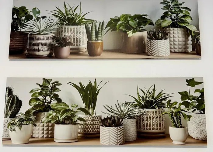 Piso Familiar 公寓